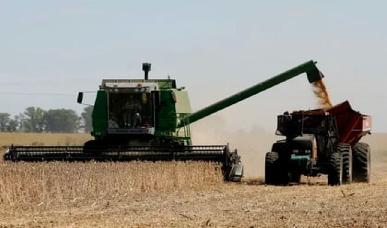 El paro en el campo