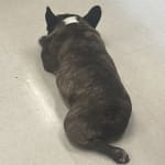 Medication helps his glaucoma