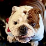 I will buy this again.