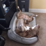 Trying to keep the Yeast at Bay