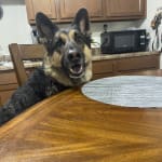 This product does exactly what it says it does it cuts the s