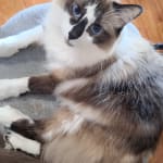 Urinary Tract Health