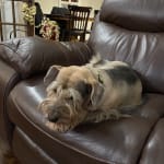 Great Treat for my loves!