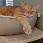 Frida and I say thank you!!