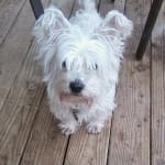 The best protection at the best price!