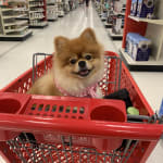 This medication is given her relief..