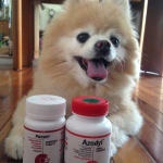 Excellent Urinary Tract Support Product
