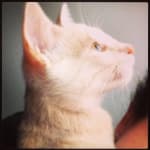 Definitely adding to the daily routine