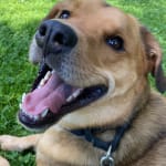 Great medication for seizures