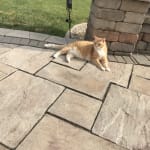 Wow what a difference!!!!!