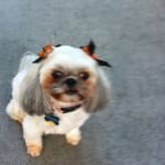 Excellent medication for eyes.