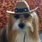 I definitely will order this product again