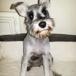 I will continue to buy this product again and again.