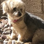 Just What the Doctor Ordered