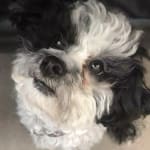 It's a once a month deal