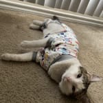 Counterattack Medication