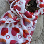 If your pets life depends on it, good luck!