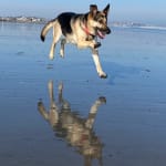 This product is amazing - happy to have found it