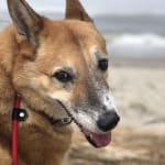 I can almost run again