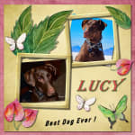 This medication makes Lucy's life easier and more fun!