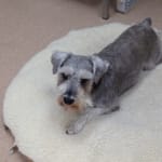 Relax and hot be afraid.