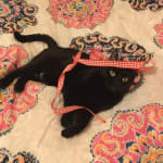 Quick shipping, good packaging