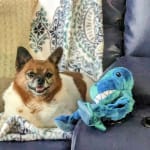 HAS DONE WONDERS FOR MY BABY GIRL