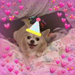 This is an excellent treat, & it's very good for her.