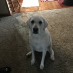 This medication really helped