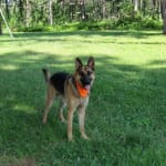 Keeps his fistula under control