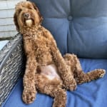 excellent service and product