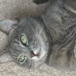 Won over a very picky eater