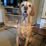 This medication is wonderful!