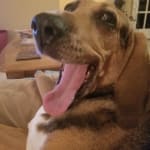 MEDICATION HELPED MY JILLY