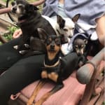 Great deal. Great product!