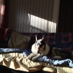 Easy to break in half