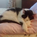 Excellent product and provider