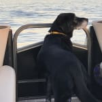 Visbiome helped Charlie.