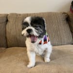 Love the text message ordering!