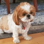 Excellent medication for eyes.