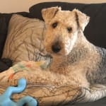 Best Price and Great Service