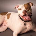 Welcome Relief for My Itchy Boy