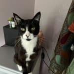 Medical supplies for Dotje