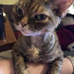 Quality Medication at Discounted Prices