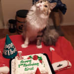 Absolutely has helped