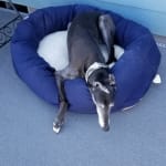 Love, love, love CPP