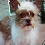 Great for eye health!