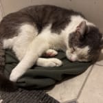 Excellent way to treat Diabetes!