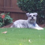 We will continue to buy.