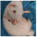 Thank goodness for this.